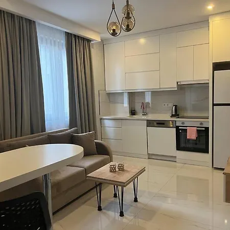 Camelia 4 Brand New 1+1 On Cleopatra